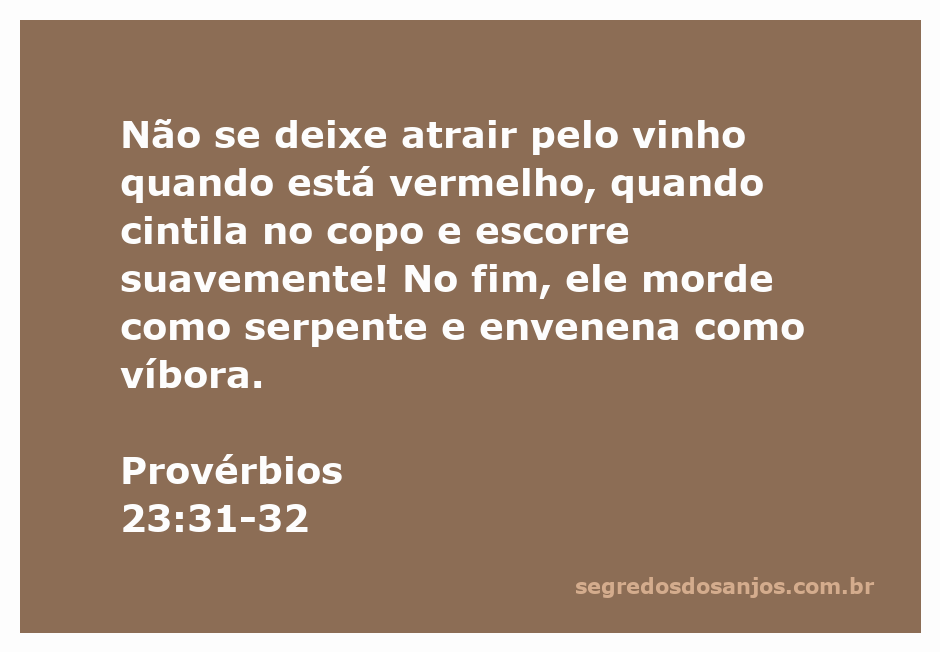 Imagem de um copo de vinho tinto, simbolizando os avisos sobre os perigos do álcool.