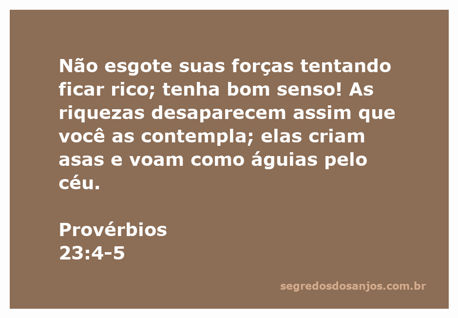Imagem ilustrativa de uma águia voando com notas de dinheiro ao fundo, simbolizando a efemeridade das riquezas.