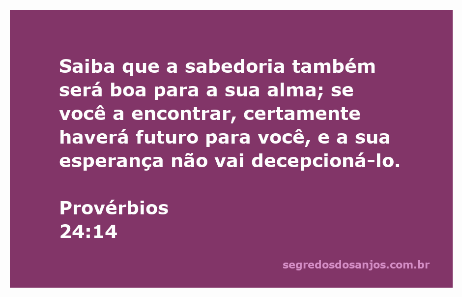 Ilustração do versículo Provérbios 24:14, destacando a importância da sabedoria para a alma e o futuro.