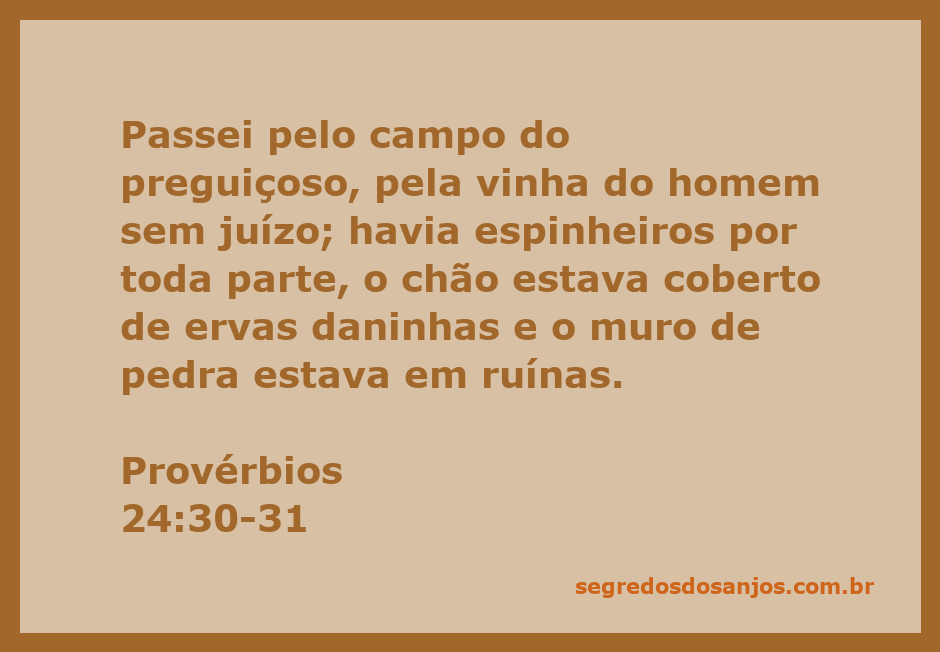 Campo abandonado com espinheiros e ervas daninhas, simbolizando a preguiça e a falta de cuidado.
