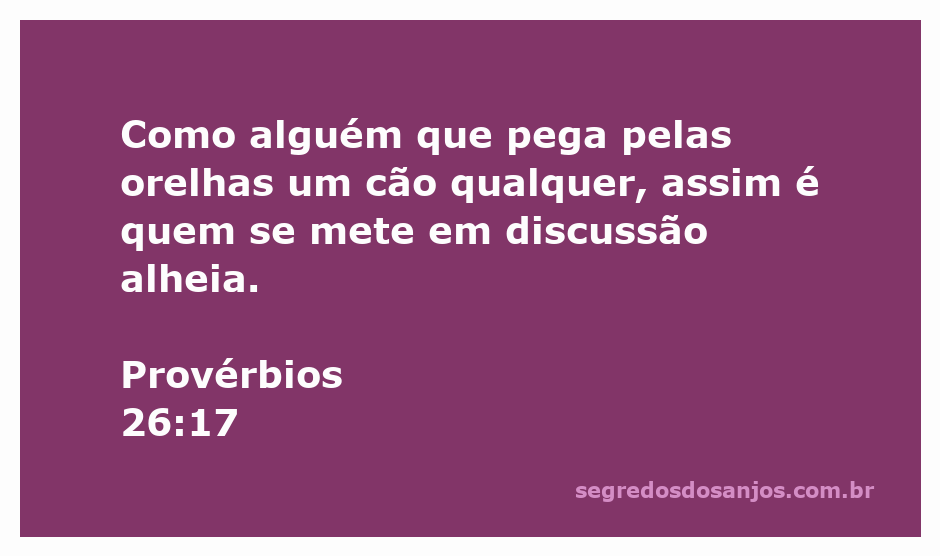Ilustração de uma pessoa segurando as orelhas de um cão, simbolizando a imprudência de se envolver em discussões alheias.