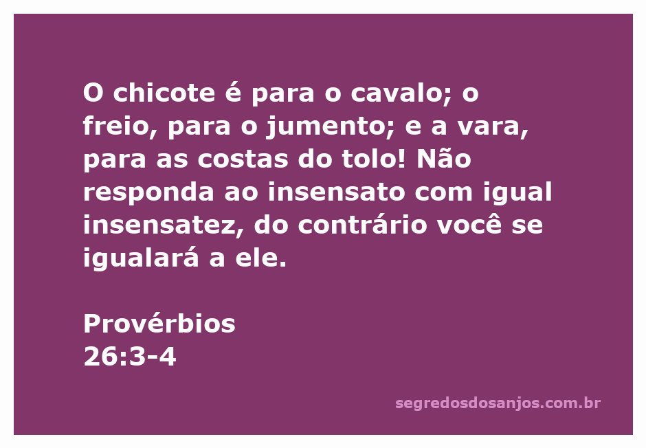 Ilustração do versículo de Provérbios 26:3-4, representando a disciplina e a sabedoria na comunicação.