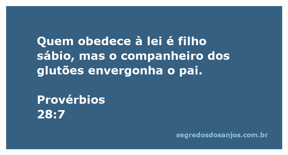 Imagem representativa da sabedoria e obediência à lei, com um contraste entre um filho sábio e um companheiro glutão.