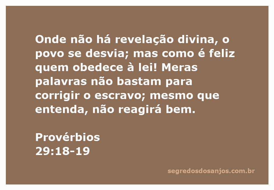Uma imagem representativa do versículo de Provérbios 29:18-19, que fala sobre a importância da revelação divina e da obediência à lei.