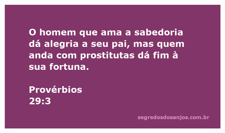 Imagem representativa do versículo de Provérbios 29:3, destacando a sabedoria e suas consequências na vida do homem.