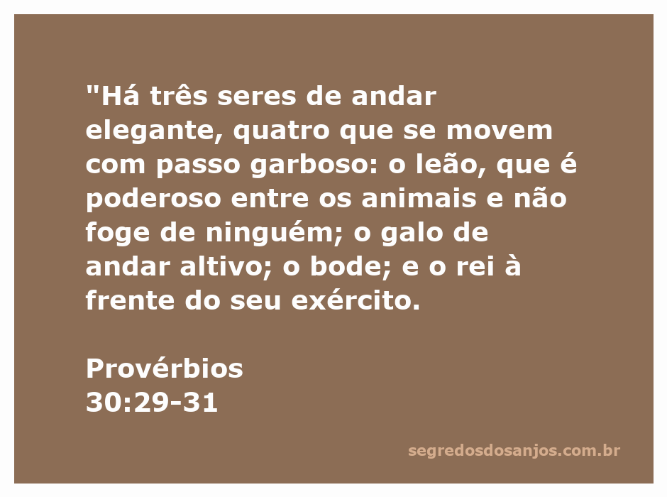 Representação dos seres mencionados em Provérbios 30:29-31, incluindo um leão, um galo, um bode e um rei com seu exército.
