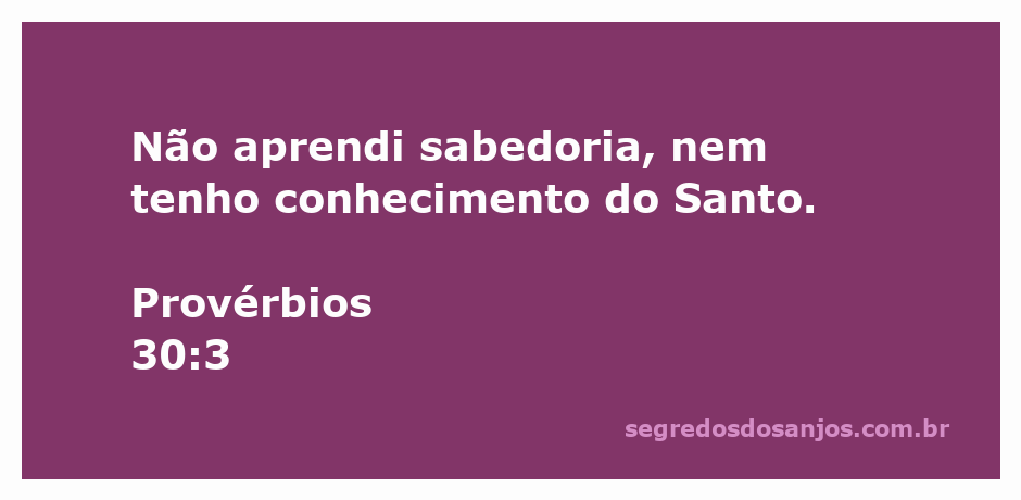 Imagem que representa a passagem de Provérbios 30:3, refletindo sobre a busca por sabedoria e conhecimento.