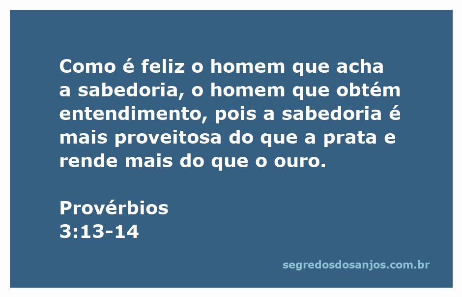 Ilustração de um homem feliz segurando um livro, simbolizando a sabedoria e o entendimento, com elementos de prata e ouro ao fundo.