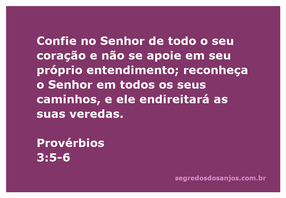 Imagem inspiradora com a citação de Provérbios 3:5-6 destacando a confiança em Deus.
