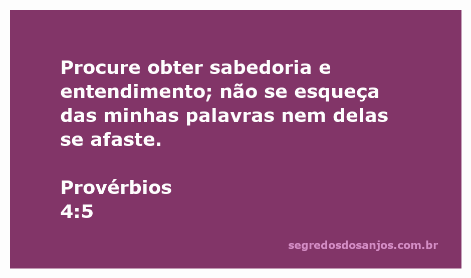 Imagem representativa de um livro aberto, simbolizando sabedoria e entendimento, com uma luz suave ao fundo.
