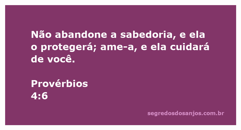 Imagem representativa da sabedoria com um livro aberto e luz suave iluminando-o, simbolizando proteção e cuidado.
