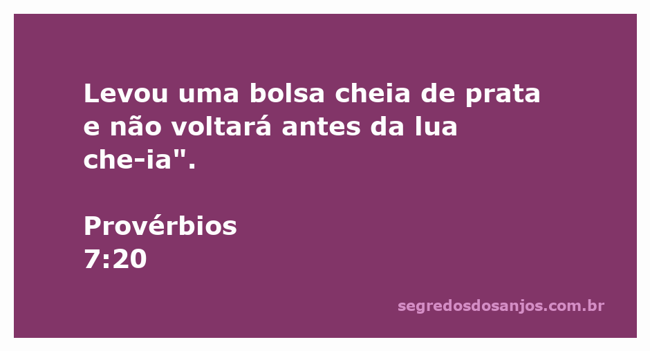 Ilustração de uma bolsa cheia de prata simbolizando a passagem de Provérbios 7:20.