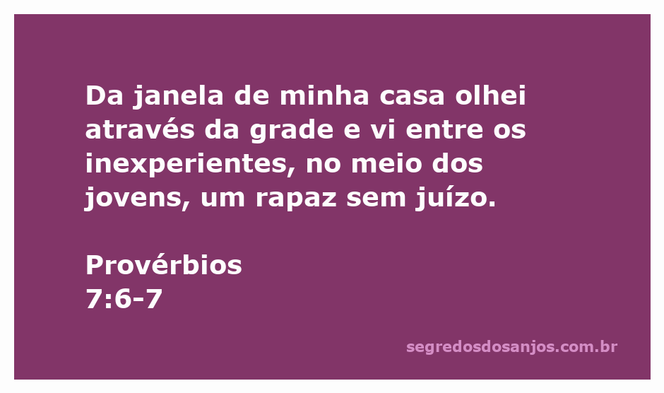 Uma janela com uma grade, simbolizando a observação de um jovem imprudente entre os inexperientes.