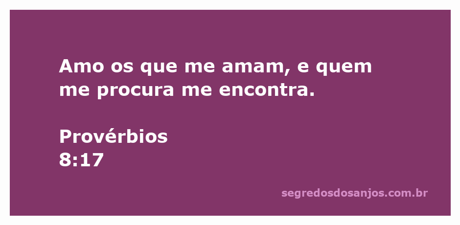 Ilustração do versículo de Provérbios 8:17, destacando o amor e a busca por sabedoria.