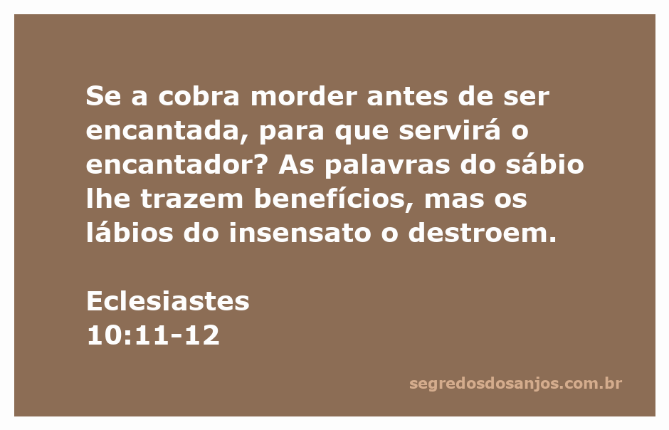 Ilustração de uma cobra e um encantador, representando a sabedoria e a insensatez conforme Eclesiastes 10:11-12.