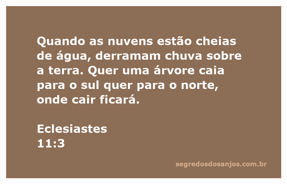 Ilustração de nuvens carregadas de água com uma árvore caindo ao chão, representando Eclesiastes 11:3.