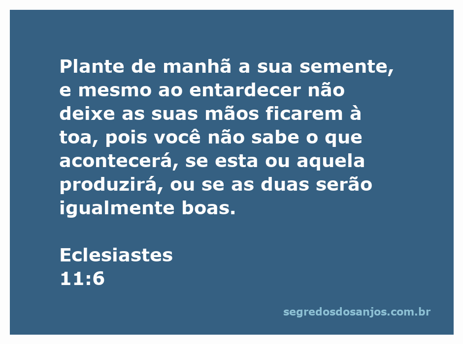 Imagem que ilustra o versículo de Eclesiastes 11:6, destacando a importância do trabalho e da persistência na semeadura.