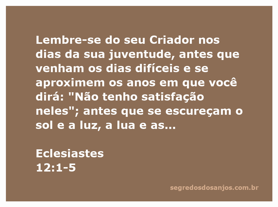 Ilustração sobre Eclesiastes 12:1-5, refletindo sobre a importância de lembrar do Criador na juventude e a passagem do tempo