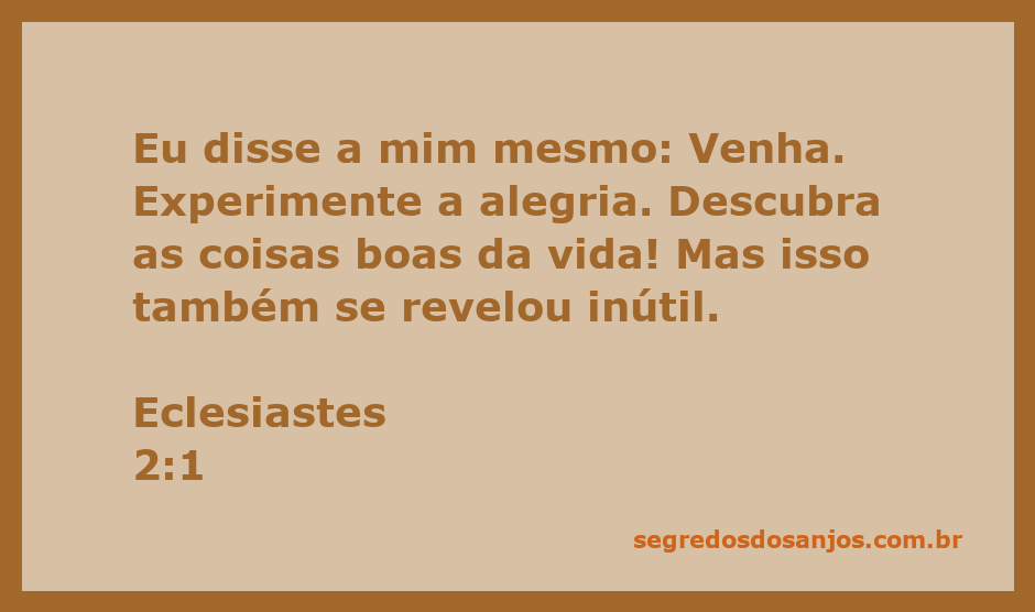 Uma pessoa contemplando a vida, refletindo sobre alegrias e a futilidade das buscas materiais, inspirada em Eclesiastes 2:1.