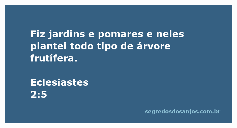 Imagem de um jardim exuberante com diversas árvores frutíferas, representando a passagem de Eclesiastes 2:5.