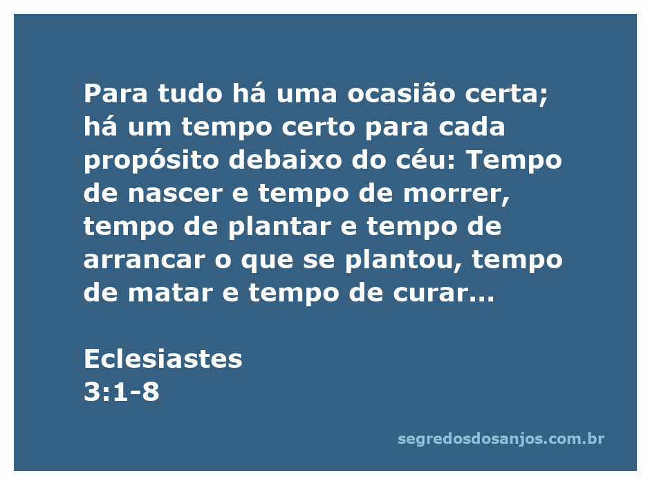 Ilustração representando o versículo de Eclesiastes 3:1-8, que fala sobre os diferentes tempos e estações da vida.