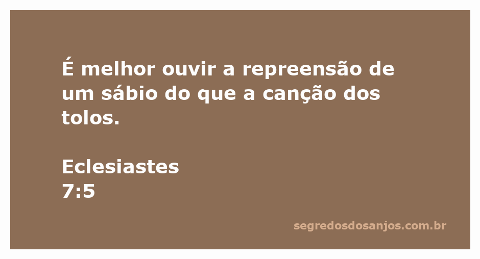 Imagem que ilustra o versículo de Eclesiastes 7:5, destacando a importância da sabedoria sobre a superficialidade.