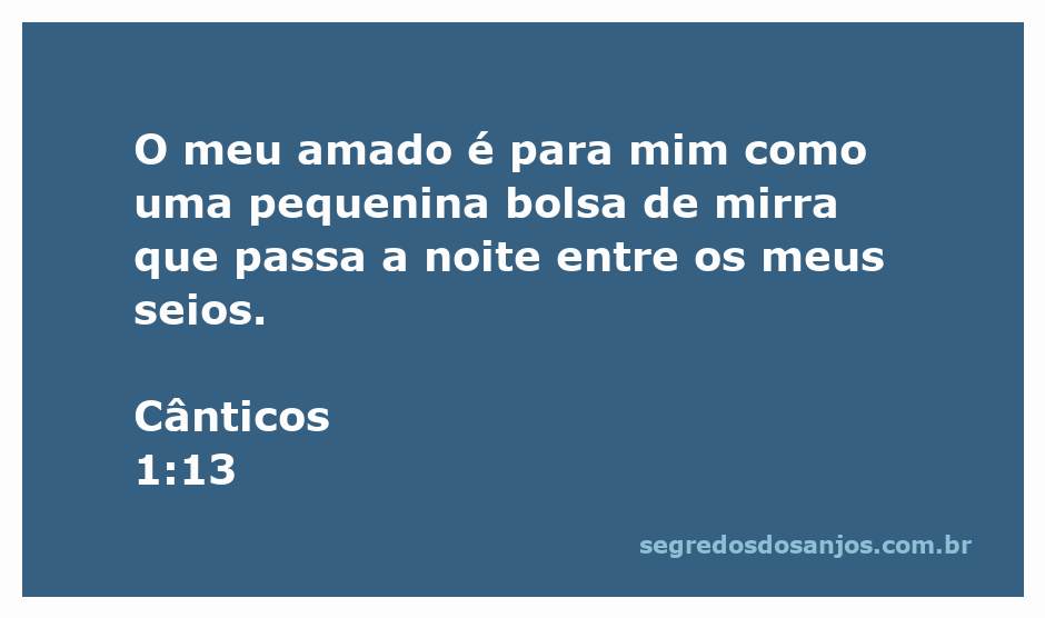 Imagem que representa a passagem de Cânticos 1:13, simbolizando o amor e a intimidade com uma bolsa de mirra.