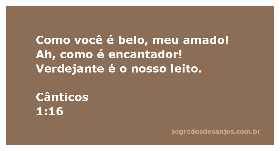 Imagem representativa do versículo Cânticos 1:16, destacando a beleza e encanto do amor.