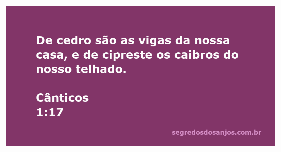Imagem de uma casa com estrutura de cedro e cipreste, representando a passagem de Cânticos 1:17.