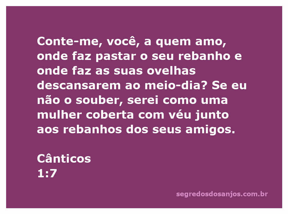 Imagem de uma mulher buscando seu amado entre os rebanhos durante o meio-dia.
