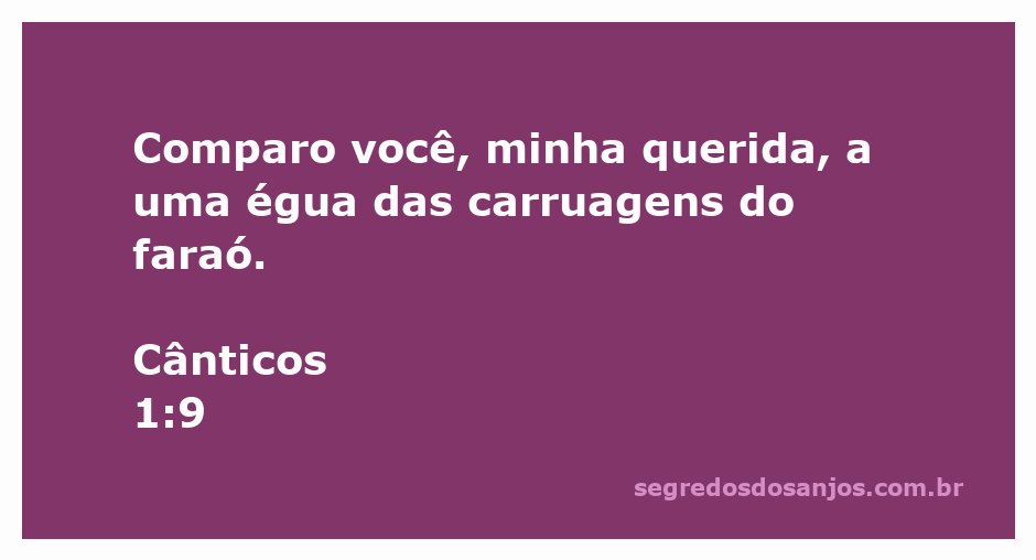 Imagem de uma égua majestosa, simbolizando beleza e força, em referência ao versículo Cânticos 1:9.