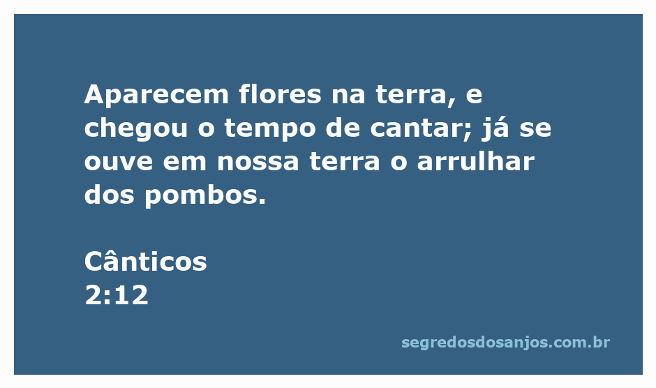 Flores coloridas brotando na terra com pombos arrulhando ao fundo, simbolizando a chegada da primavera e a alegria da canção.