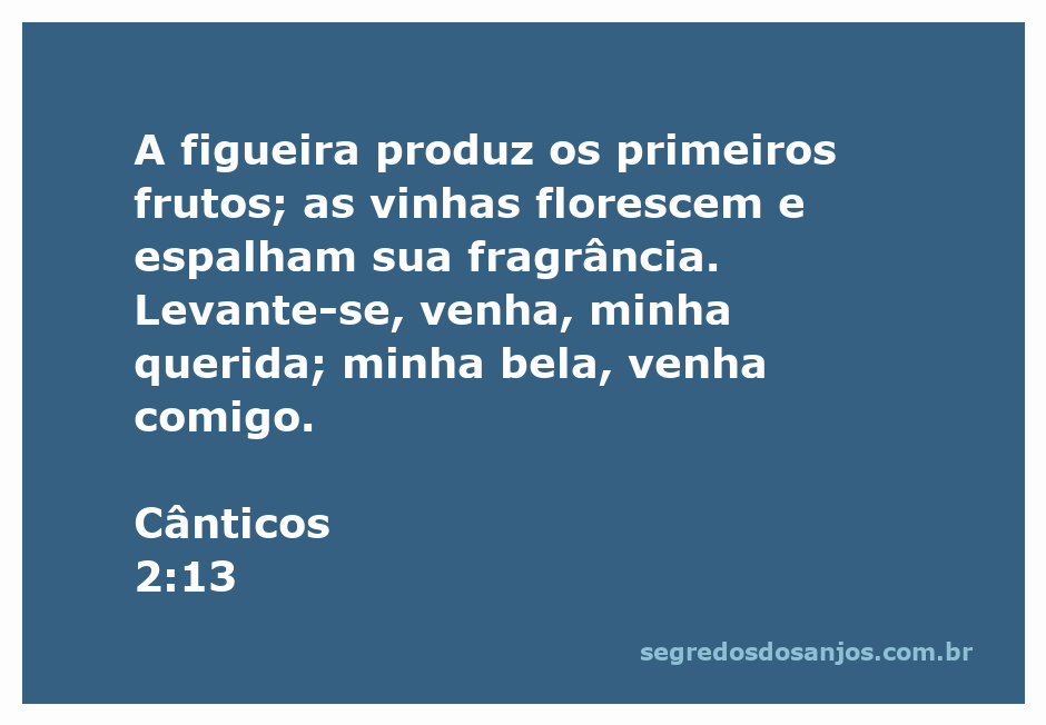Ilustração de uma figueira e vinhas em flor, simbolizando a beleza e o frescor da primavera, com um convite amoroso.
