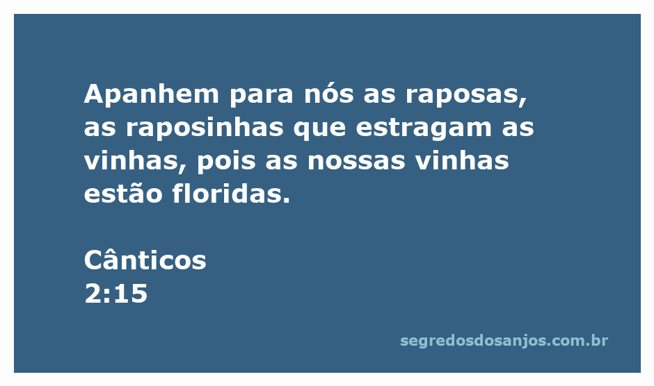 Uma ilustração de raposas em um vinhedo, simbolizando os desafios que afetam a beleza das vinhas.