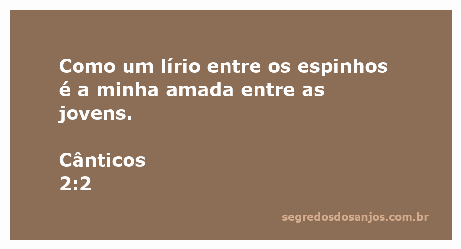 Uma bela jovem destacando-se entre espinhos, simbolizando a pureza e beleza da amada em Cânticos 2:2.