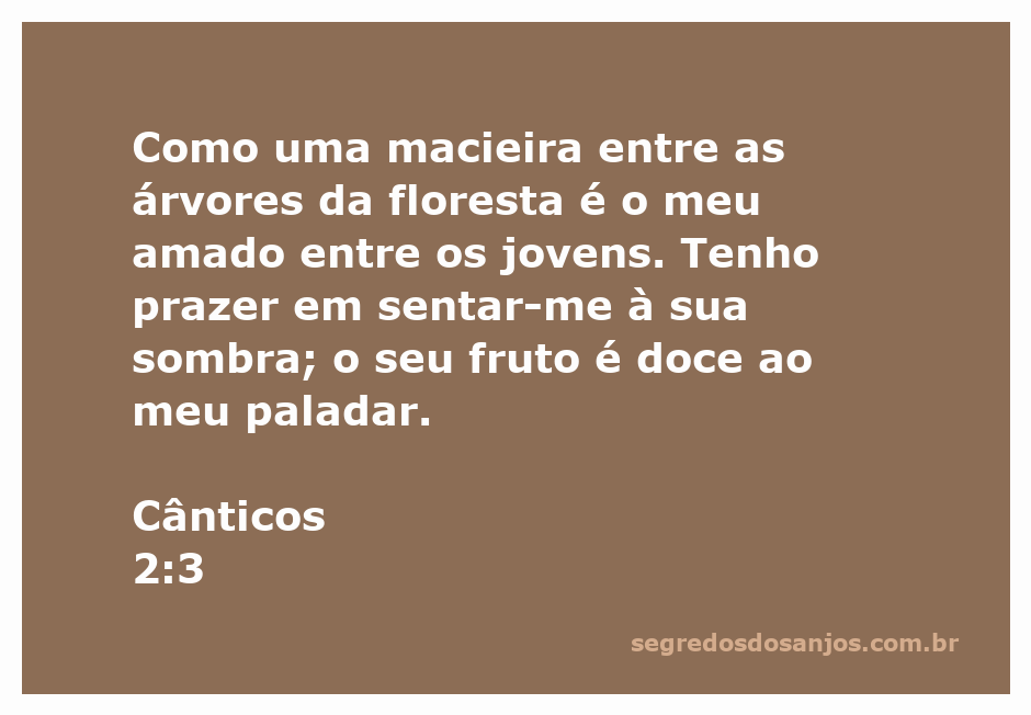 Uma ilustração de uma macieira cercada por árvores na floresta, simbolizando amor e apreciação.