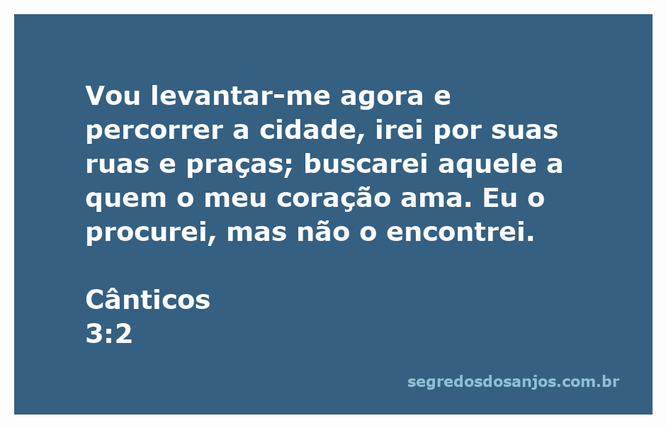 Ilustração de uma mulher procurando seu amado nas ruas da cidade, inspirada em Cânticos 3:2.