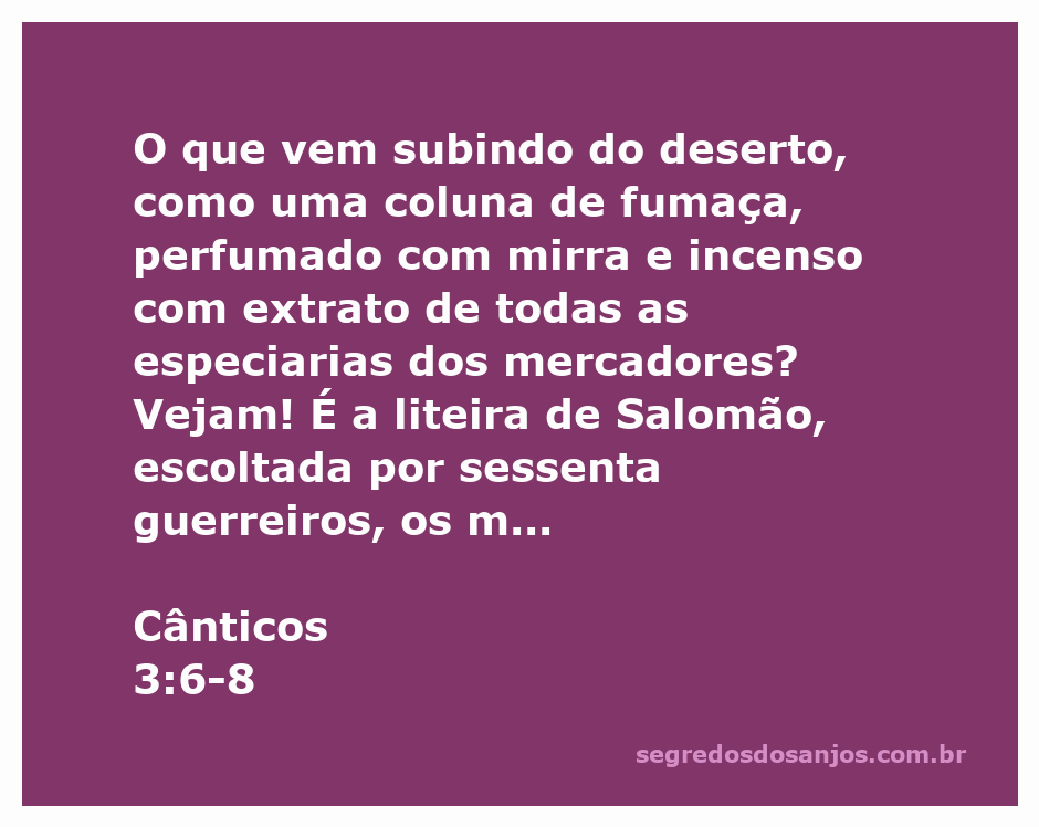 Imagem representando a liteira de Salomão sendo escoltada por guerreiros nobres, simbolizando força e proteção.