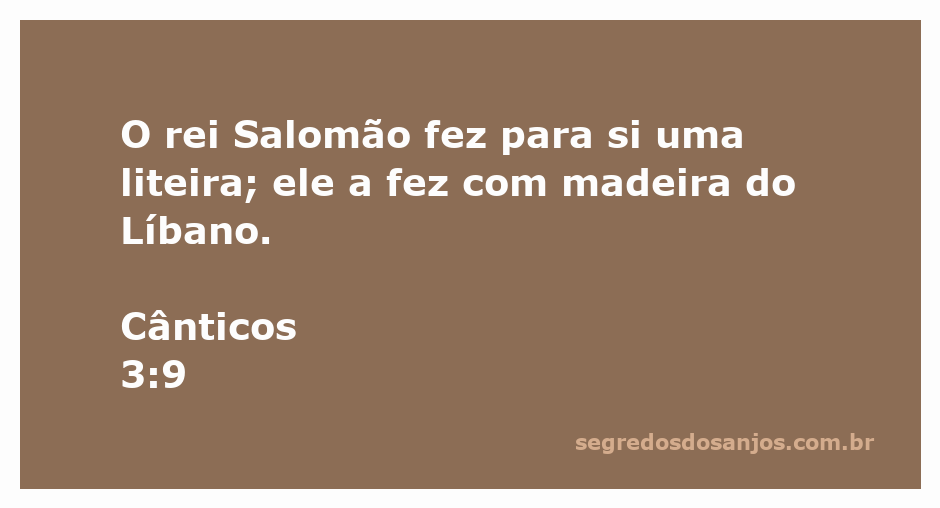 Imagem de uma liteira luxuosa feita de madeira do Líbano, simbolizando a riqueza do rei Salomão.