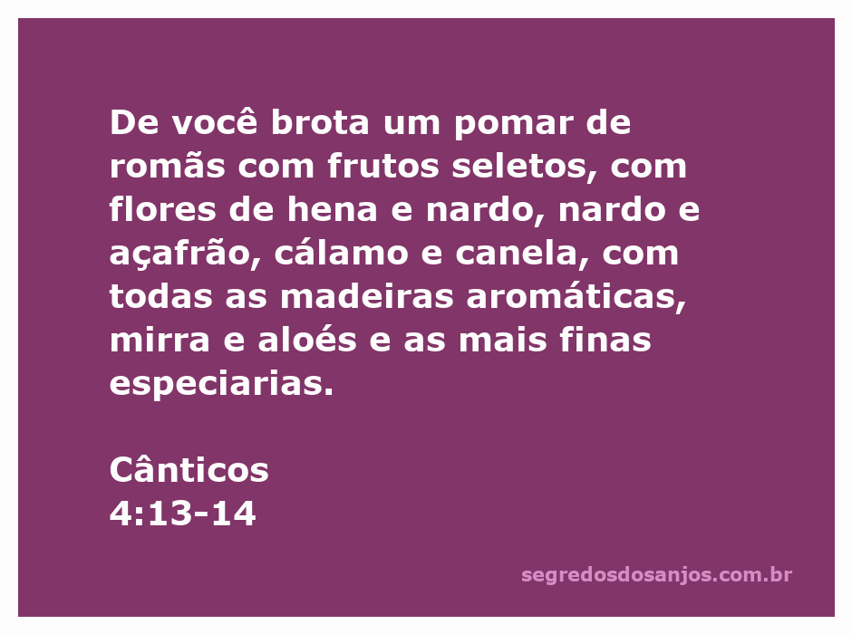 Representação de um pomar de romãs com flores de hena e nardo, simbolizando a beleza e a riqueza das especiarias mencionadas em Cânticos 4:13-14.