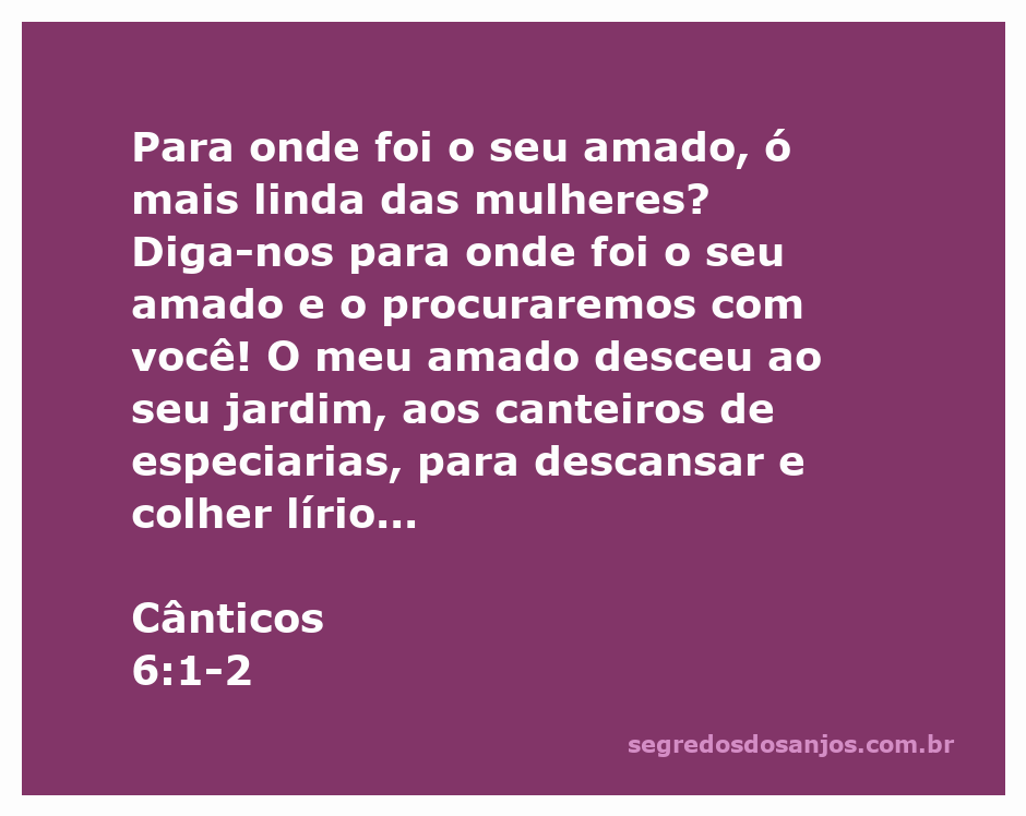 Imagem representando o amado descendo ao jardim, cercado por lírios e especiarias, inspirada em Cânticos 6:1-2.