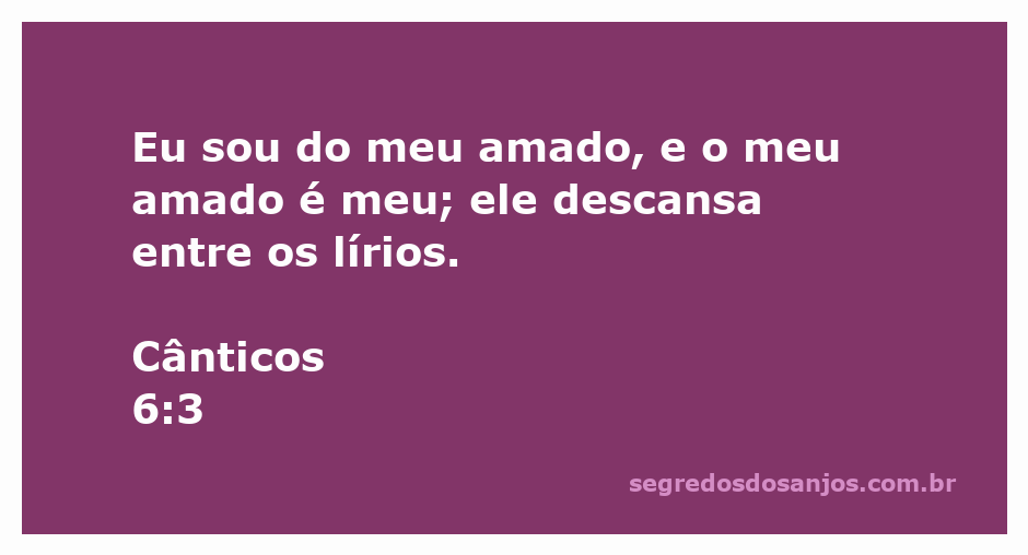 Ilustração de um casal apaixonado entre lírios, representando a conexão do versículo Cânticos 6:3.