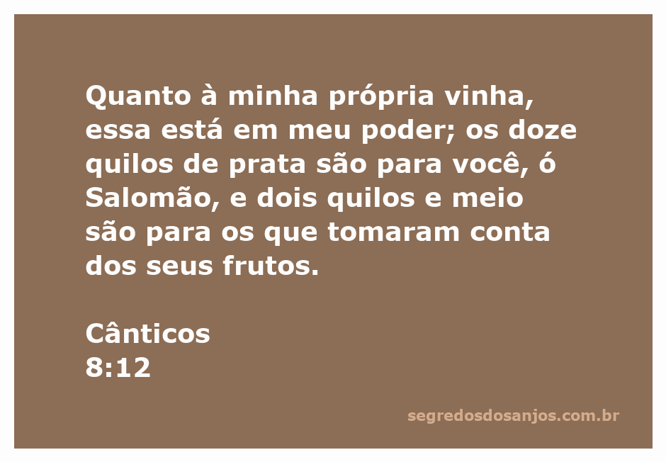 Imagem representativa de Cânticos 8:12, destacando a relação entre a vinha e o valor dos frutos.