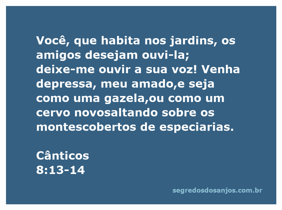 Imagem poética representando Cânticos 8:13-14, com uma figura de uma gazela saltando sobre montes cobertos de especiarias.