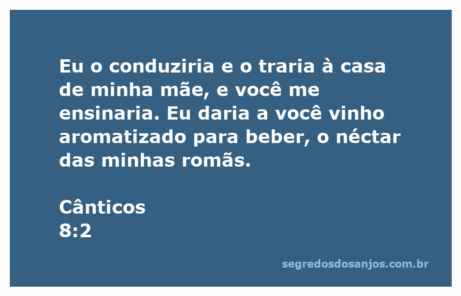 Uma representação artística de Cânticos 8:2, mostrando uma mulher oferecendo vinho aromatizado e romãs a um homem em um ambiente romântico.