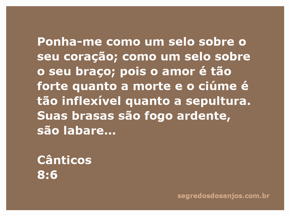 Imagem representativa do versículo Cânticos 8:6, simbolizando o amor intenso e duradouro.