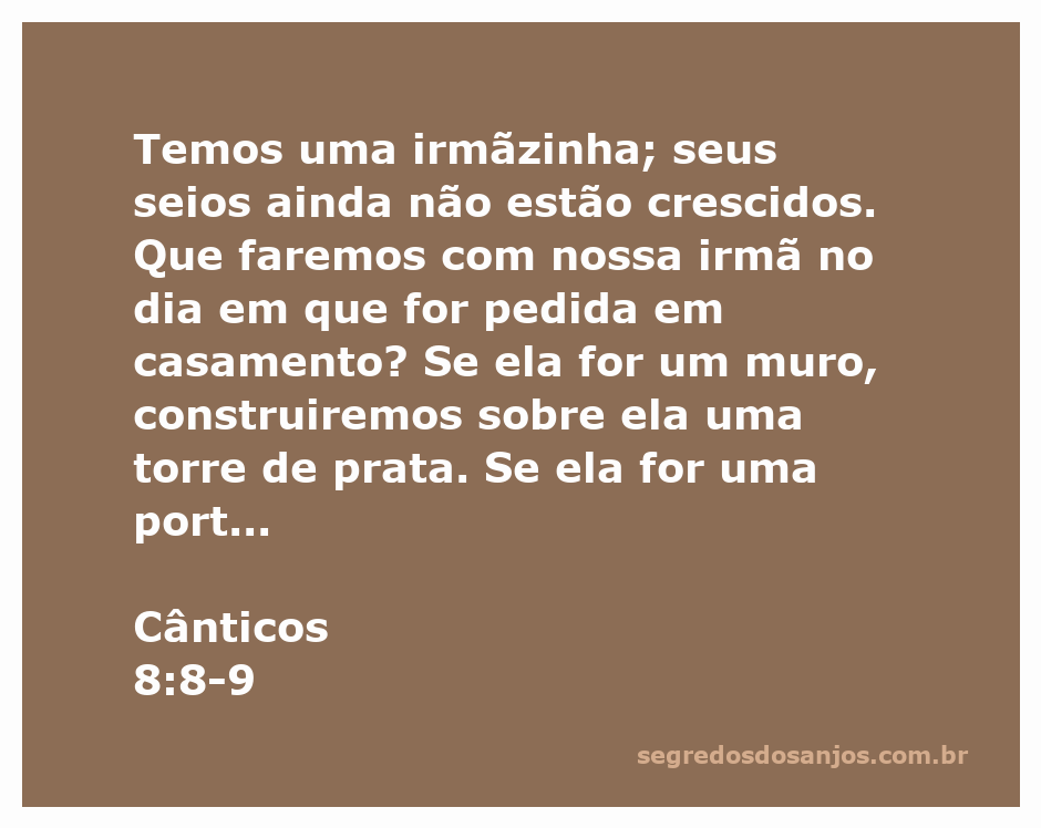 Ilustração de uma irmã e seus irmãos discutindo sobre o futuro dela em relação ao casamento, simbolizando proteção e amor familiar.