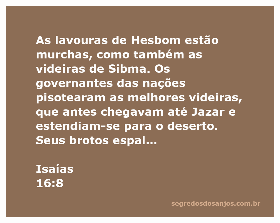 Imagem representativa das lavouras murchas de Hesbom e videiras de Sibma, simbolizando a devastação mencionada em Isaías 16:8.