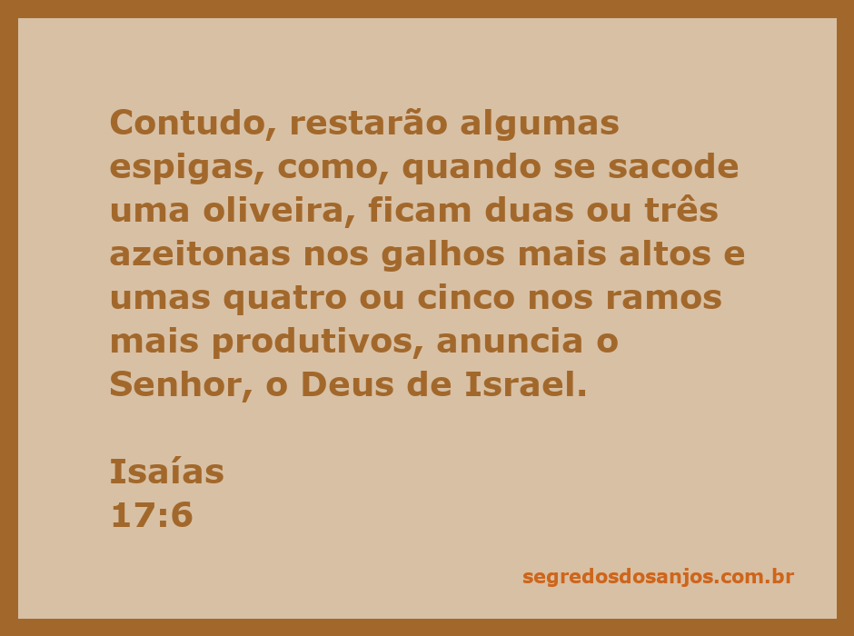 Uma oliveira com algumas azeitonas nos galhos mais altos, simbolizando a esperança e a preservação.