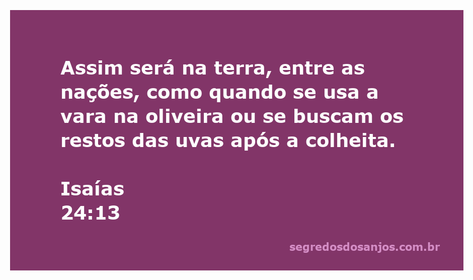 Imagem ilustrativa de uma colheita de uvas e a colheita de azeitonas, simbolizando a passagem de Isaías 24:13.